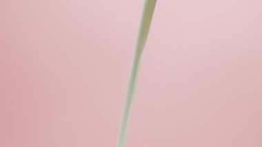 dökülen beyaz sıvı, pembe arkaplan, süt.