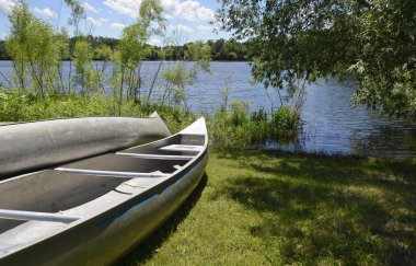 Yeşil çimenlerin üzerinde park Kano
