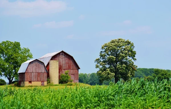 Old faded barn and silo — Stock Photo, Image