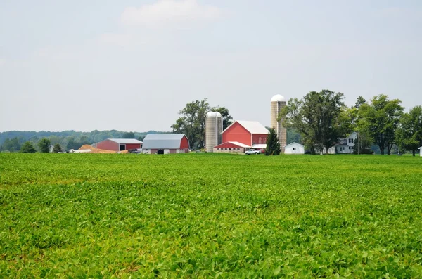 Nice rural farmland — Stock Photo, Image