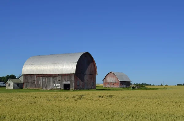 Large metal roof barn — Stock Photo, Image