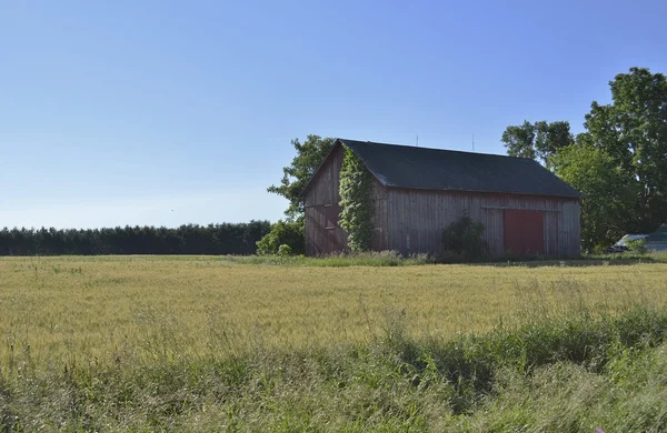 Rustic barn i gruntów rolnych — Zdjęcie stockowe