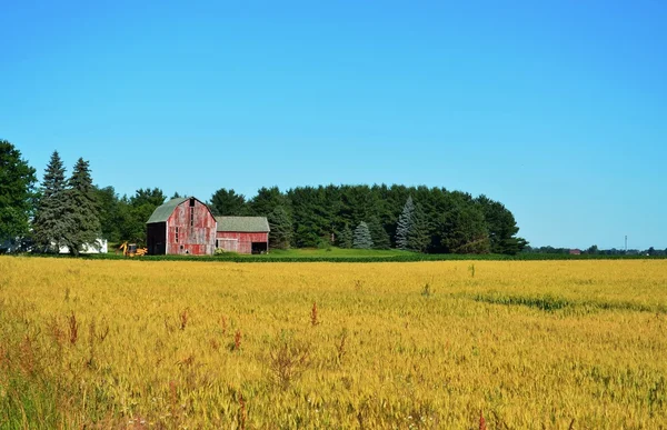 Faded and weathered old barn — Stock Photo, Image