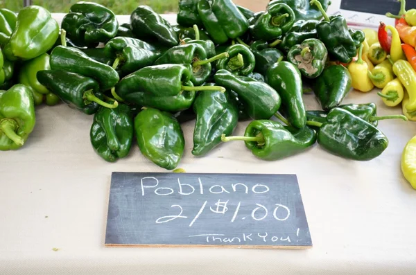 Pablano Poivrons à vendre — Photo