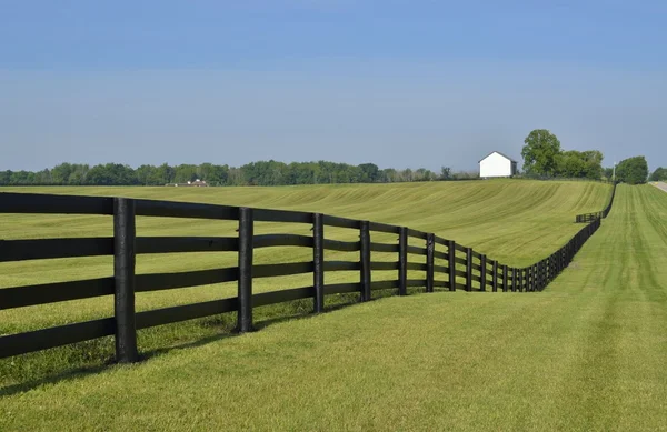 Fence bordering a pasture — Stock Photo, Image