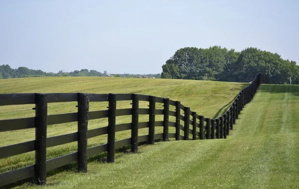 Dark Brown Painted Country Fence — Stock Photo, Image