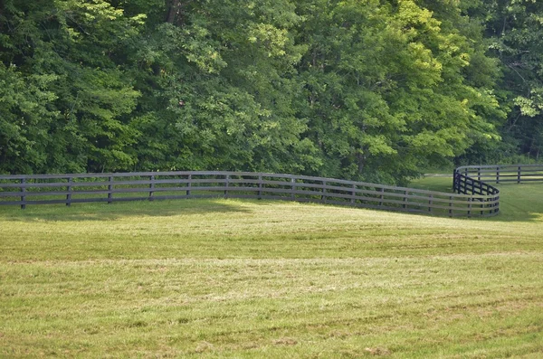 Plot hraničící pastviny — Stock fotografie