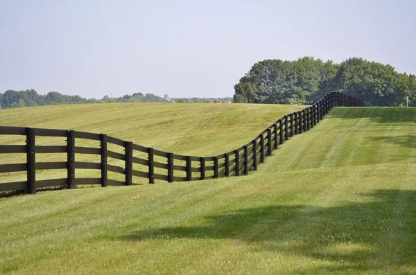 Zaun grenzt an eine Weide — Stockfoto