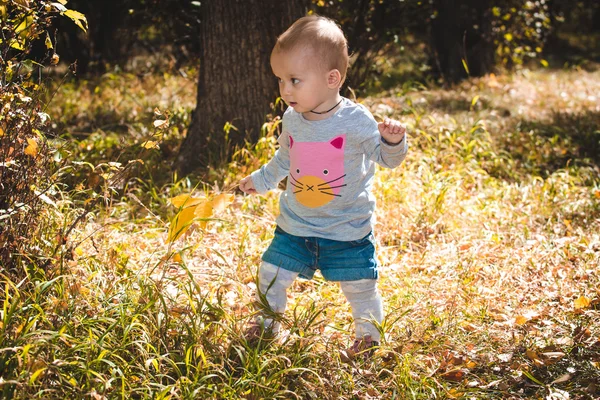 Aranyos kis bébi sárga levelek őszi parkban — Stock Fotó