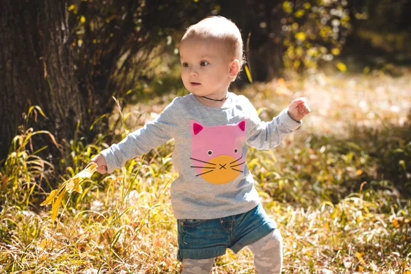 Aranyos kis bébi sárga levelek őszi parkban — Stock Fotó