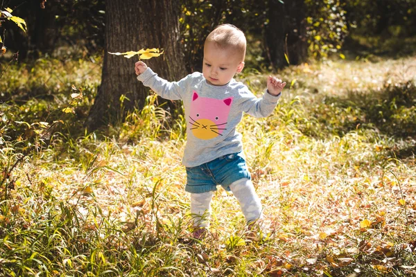 Bebê pequeno bonito no parque de outono com folhas amarelas — Fotografia de Stock