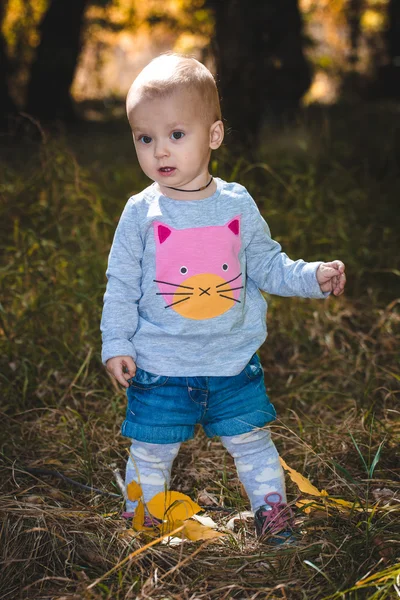 Sladké dítě v podzimním parku s žlutými listy — Stock fotografie