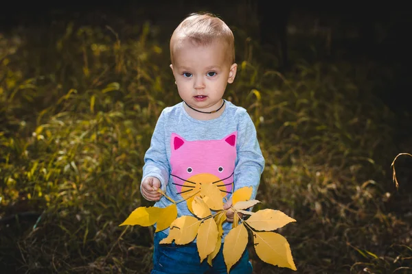 Aranyos kis bébi sárga levelek őszi parkban — Stock Fotó
