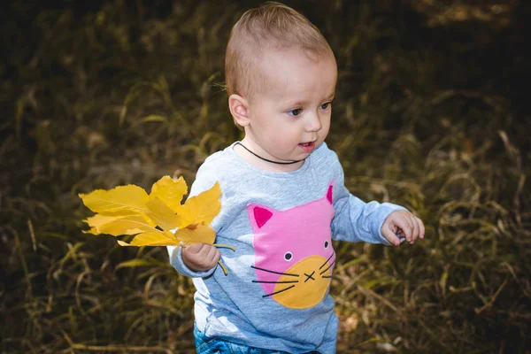 Aranyos kis bébi sárga levelek őszi parkban — Stock Fotó