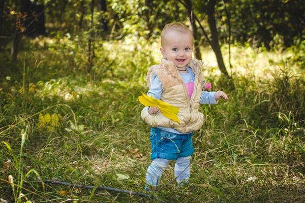 Bebê pequeno bonito no parque de outono com folhas amarelas — Fotografia de Stock