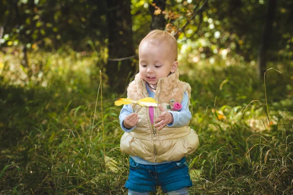 Carino piccolo bambino nel parco autunnale con foglie gialle — Foto Stock