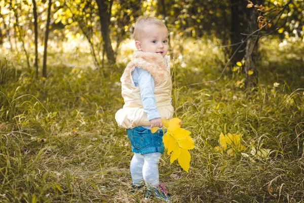 Aranyos kis bébi sárga levelek őszi parkban — Stock Fotó