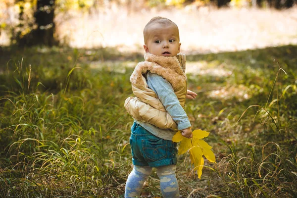 Aranyos kis bébi sárga levelek őszi parkban — Stock Fotó
