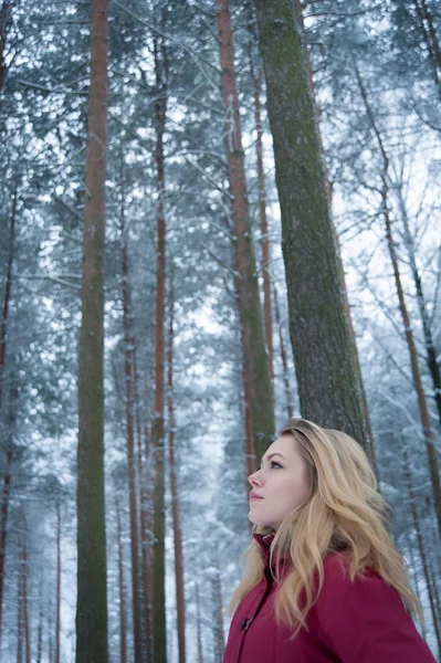 Girl in the forest — Stock Photo, Image