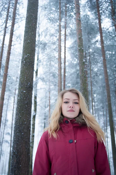 Girl in the forest — Stock Photo, Image