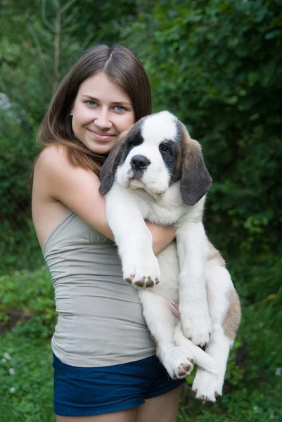 St bernard — Stok fotoğraf