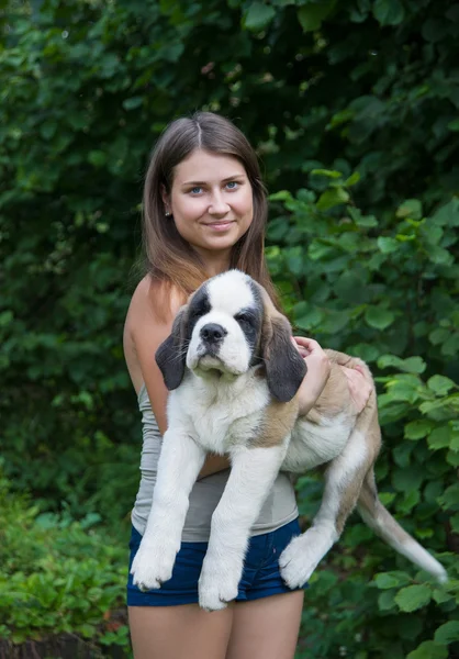 Kızla köpek yavrusu — Stok fotoğraf