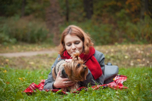 Yorkie kadınla — Stok fotoğraf