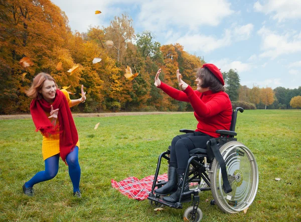 Herfst blad vallen — Stockfoto