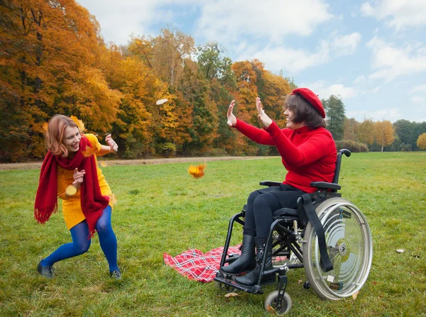 Herfst blad vallen — Stockfoto