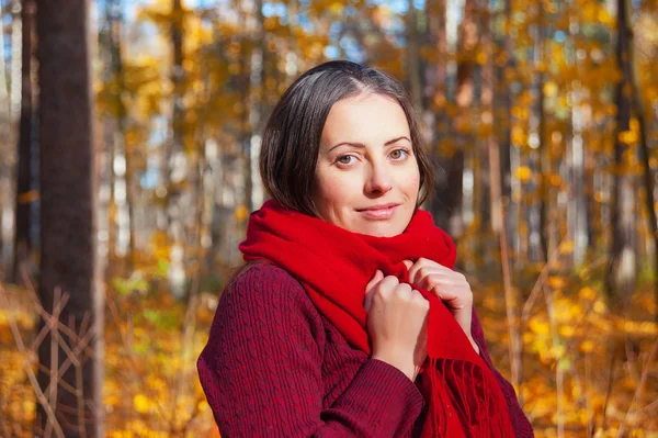 Autumn portrait — Stock Photo, Image