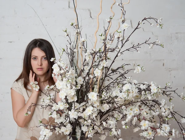 Urocze dziewczyny z suszonych kwiatów mają białe ściany — Zdjęcie stockowe