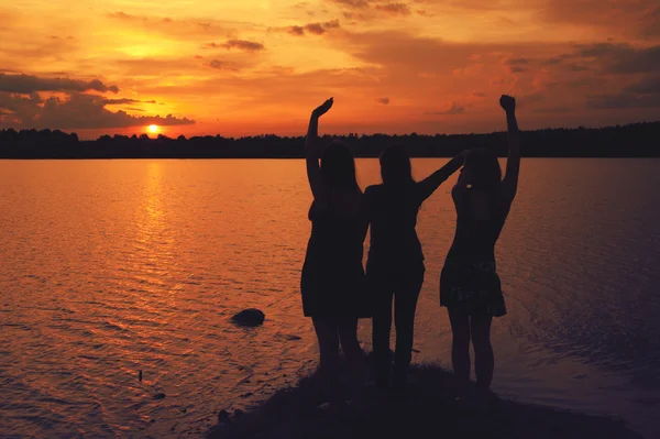 Amici del tramonto — Foto Stock