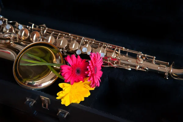 Szaxofon virág — Stock Fotó