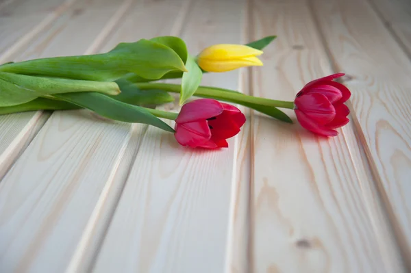 Tre tulipani — Foto Stock