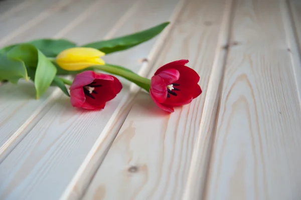 Tres tulipanes —  Fotos de Stock