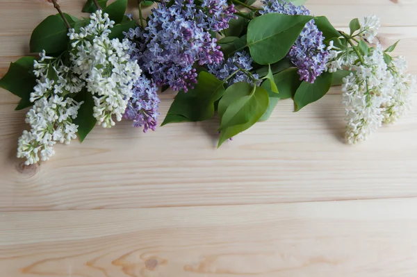 Ramo lilla sul tavolo — Foto Stock