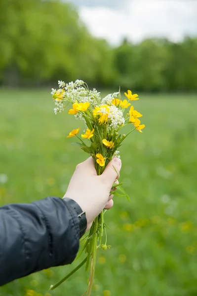 Mazzo di fiori selvatici nelle sue mani — Foto Stock