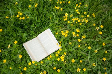  çimenlerde yaptırın