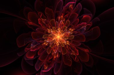 fraktal çiçek perisi