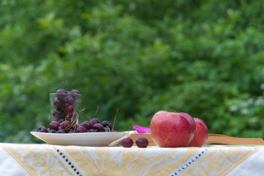 cherenshnya elma tablo