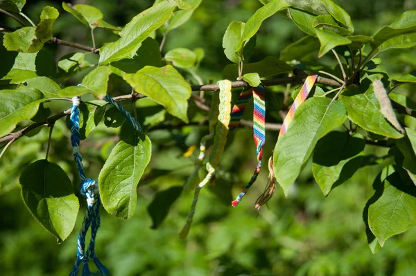 Armband från trådar — Stockfoto