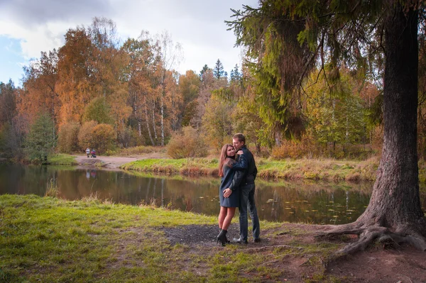 Belo casal no parque. — Fotografia de Stock