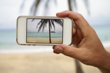 palmiye ağacı cep telefonu ile fotoğraf alma