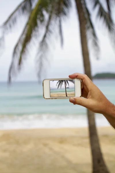 Biorąc zdjęcie palmy z telefonów komórkowych — Zdjęcie stockowe