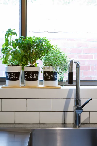 Pots d'herbes sur le seuil de la fenêtre de la cuisine contemporaine verticale — Photo