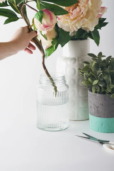 Florist placing cut flowers into a glass vase — Stock Photo, Image