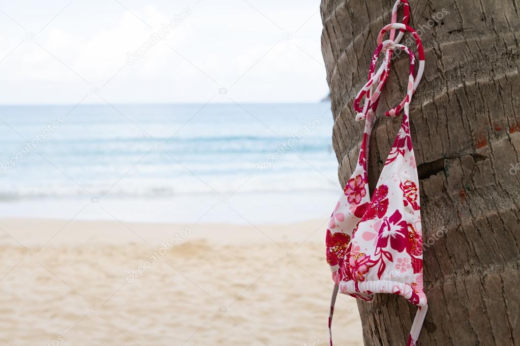 Bikini top hanging on a palm tree on tropical island