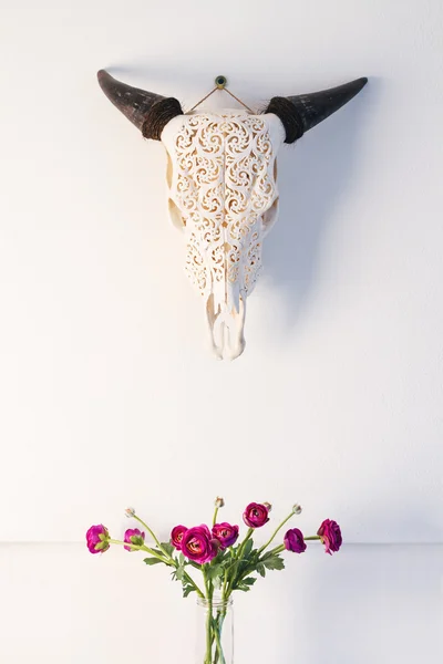 Decoratie dier schedel — Stockfoto