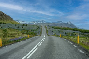 Arka planda Dağları olan İzlanda Kırsal Bölgesi 'nden geçen Manzaralı Yol