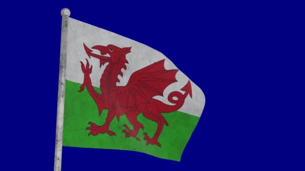 Armoedige Vuile Vlag Van Wales Zwaait Een Groene Achtergrond — Stockvideo